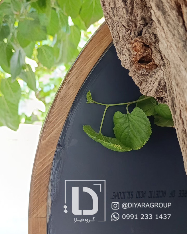 | آیینـهی دیـارتون | زندگی در جهانی را تصور کن